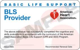 BLS Basic Life Support Card